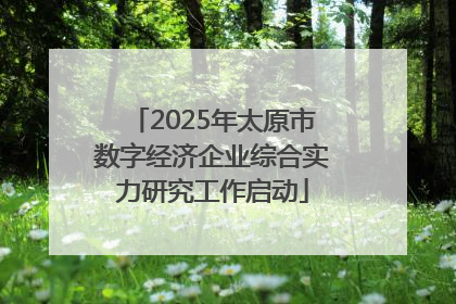 2025年太原市数字经济企业综合实力研究工作启动