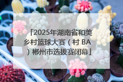 2025年湖南省和美乡村篮球大赛（村 BA）郴州市选拔赛闭幕