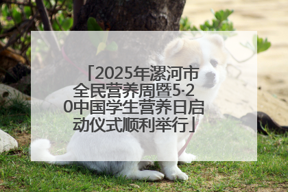 2025年漯河市全民营养周暨5·20中国学生营养日启动仪式顺利举行