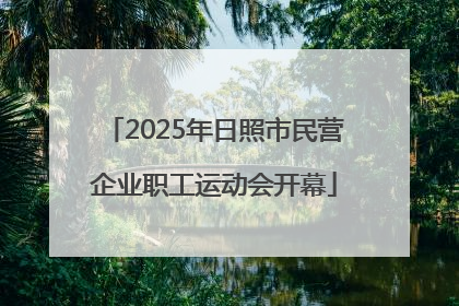 2025年日照市民营企业职工运动会开幕