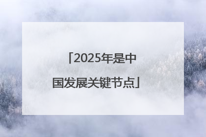 2025年是中国发展关键节点