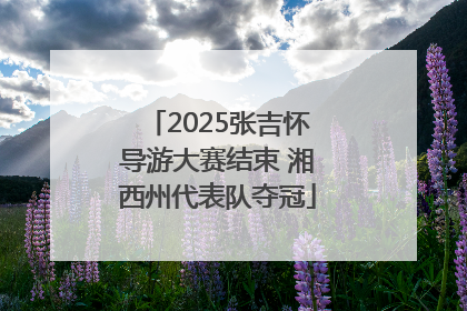 2025张吉怀导游大赛结束 湘西州代表队夺冠