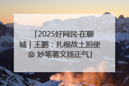 2025好网民·在聊城｜王鹏：扎根故土担使命 妙笔著文扬正气