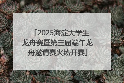 2025海淀大学生龙舟赛暨第三届端午龙舟邀请赛火热开赛
