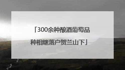 300余种酿酒葡萄品种相继落户贺兰山下
