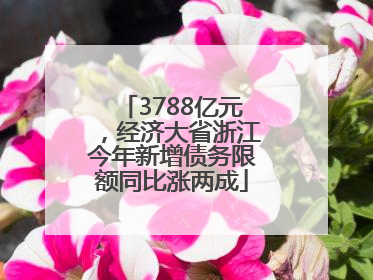 3788亿元，经济大省浙江今年新增债务限额同比涨两成