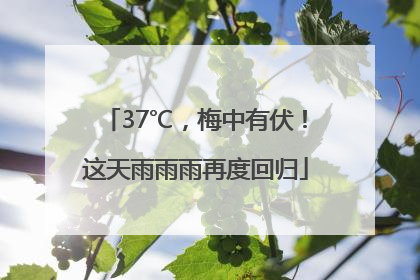 37℃，梅中有伏！这天雨雨雨再度回归