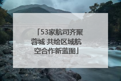 53家航司齐聚蓉城 共绘区域航空合作新蓝图