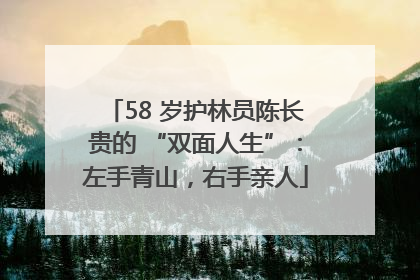 58 岁护林员陈长贵的 “双面人生”：左手青山，右手亲人