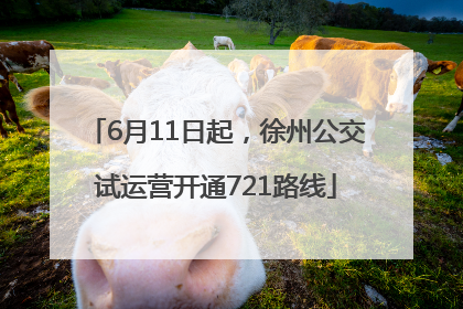 6月11日起，徐州公交试运营开通721路线