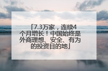 7.3万家，连续4个月增长！中国始终是外商理想、安全、有为的投资目的地