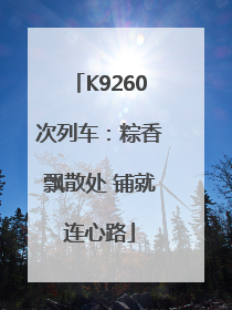 K9260次列车：粽香飘散处 铺就连心路
