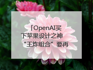 OpenAI买下苹果设计之神 “王炸组合”要再造一个苹果？
