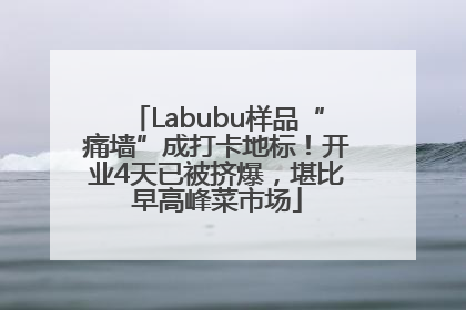 Labubu样品“痛墙”成打卡地标！开业4天已被挤爆，堪比早高峰菜市场