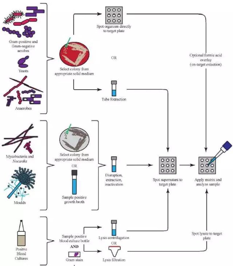 深度研究：布莱恩电影与南京布莱恩生物科技有限公司的跨界合作