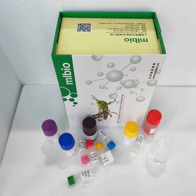 未来趋势：厦门出入境检验检疫技术中心的发展方向