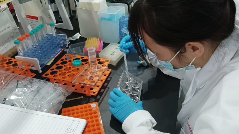 检验检疫技术中心的未来之路：一场变革的探索