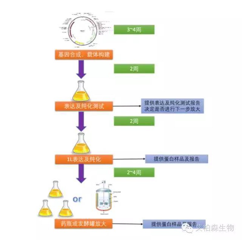 南京布莱恩生物科技有限公司致力于将最新的科技成果融入到影视制作中，今天我们就来探讨一下“布莱恩电影”项目在特效技术上的革新。